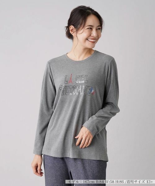 Leilian PLUS HOUSE/レリアンプラスハウス スパンコール刺繍カットソー グレー系 17+ Leilian PLUS HOUSE/レリアンプラスハウス スパンコール刺繍カットソー グレー系 17+