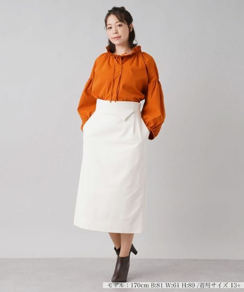 Leilian PLUS HOUSE / レリアンプラスハウス ミニ・ひざ丈スカート | タイトスカート【NEMIKA】 | 詳細1