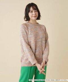 Leilian PLUS HOUSE / レリアンプラスハウス ニット・セーター | ミックスカラークルーネックニットプルオーバー