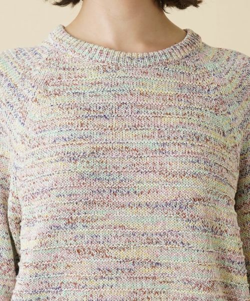 Leilian PLUS HOUSE / レリアンプラスハウス ニット・セーター | ミックスカラークルーネックニットプルオーバー | 詳細11