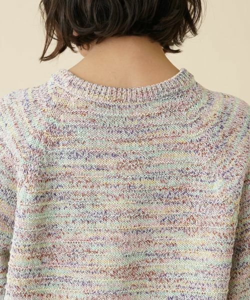 Leilian PLUS HOUSE / レリアンプラスハウス ニット・セーター | ミックスカラークルーネックニットプルオーバー | 詳細12