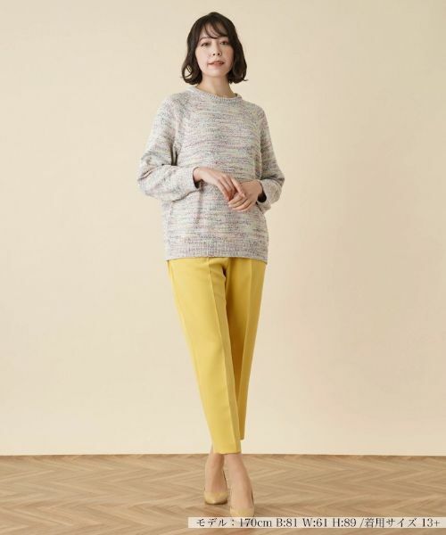 Leilian PLUS HOUSE / レリアンプラスハウス ニット・セーター | ミックスカラークルーネックニットプルオーバー | 詳細5