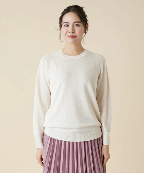 Leilian PLUS HOUSE / レリアンプラスハウス ニット・セーター | ラメクルーネックニット | 詳細7