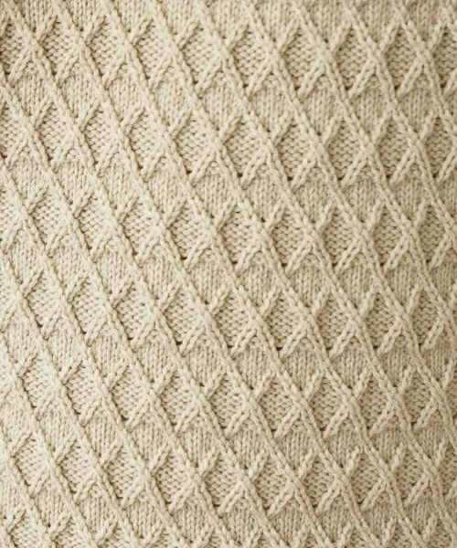 Leilian PLUS HOUSE / レリアンプラスハウス テーラードジャケット | Vネックニットベスト | 詳細11