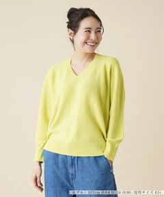 Leilian PLUS HOUSE / レリアンプラスハウス ニット・セーター | 【店舗人気】Vネックニットプルオーバー
