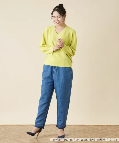 Leilian PLUS HOUSE / レリアンプラスハウス ニット・セーター | 【店舗人気】Vネックニットプルオーバー | 詳細1