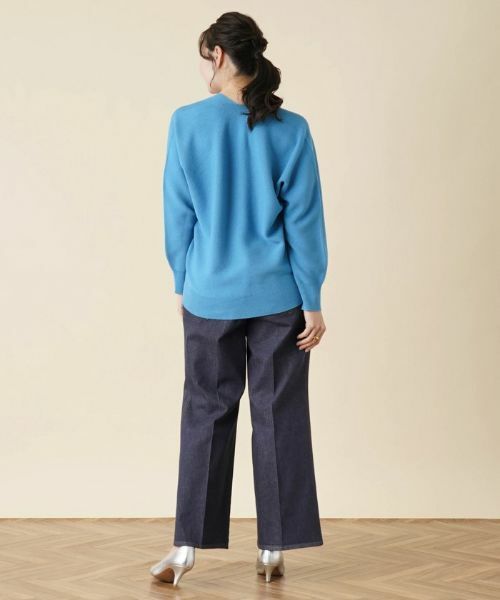 Leilian PLUS HOUSE / レリアンプラスハウス ニット・セーター | 【店舗人気】Vネックニットプルオーバー | 詳細14