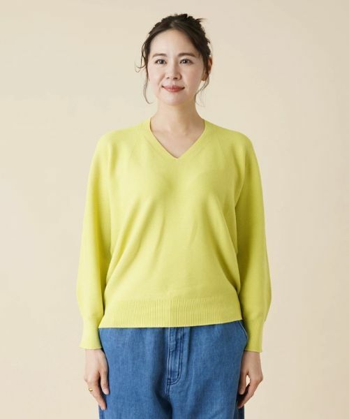 Leilian PLUS HOUSE / レリアンプラスハウス ニット・セーター | 【店舗人気】Vネックニットプルオーバー | 詳細4
