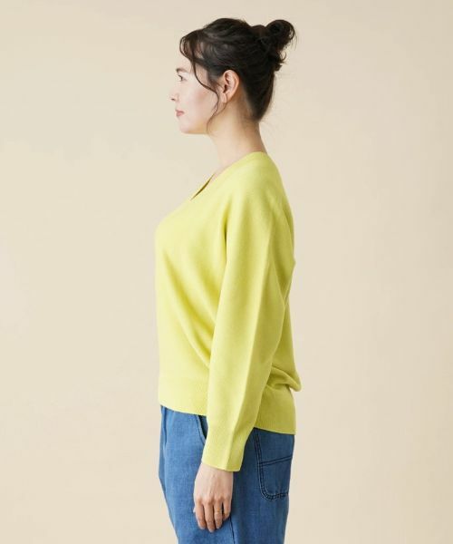 Leilian PLUS HOUSE / レリアンプラスハウス ニット・セーター | 【店舗人気】Vネックニットプルオーバー | 詳細5