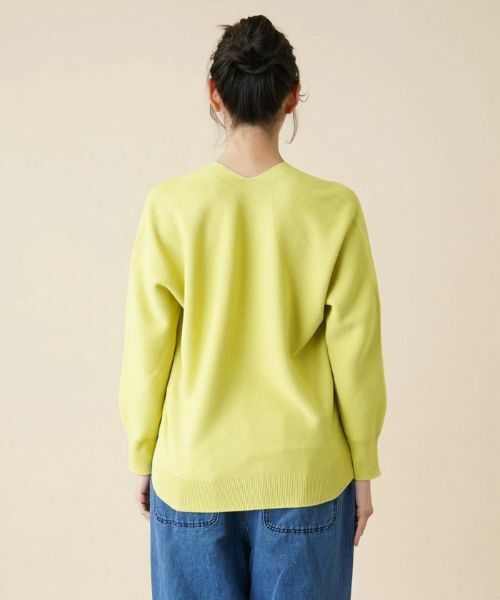 Leilian PLUS HOUSE / レリアンプラスハウス ニット・セーター | 【店舗人気】Vネックニットプルオーバー | 詳細6