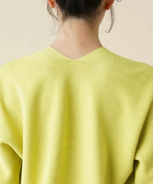 Leilian PLUS HOUSE / レリアンプラスハウス ニット・セーター | 【店舗人気】Vネックニットプルオーバー | 詳細8