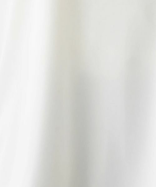 Leilian PLUS HOUSE / レリアンプラスハウス その他小物 | ノースリーブブラウス | 詳細10