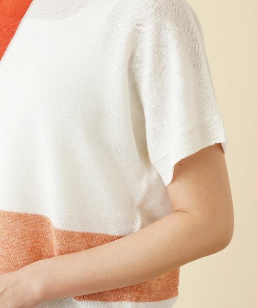 Leilian PLUS HOUSE / レリアンプラスハウス ニット・セーター | カラーブロッククルーネックニット【HAND】 | 詳細12