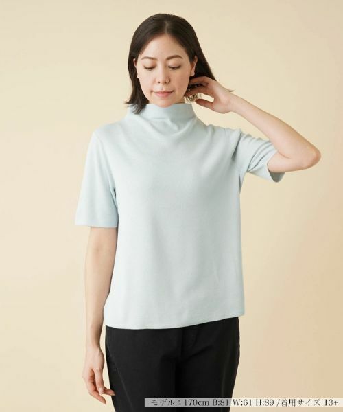 Leilian PLUS HOUSE / レリアンプラスハウス ニット・セーター | 【店舗人気】ボトルネックインナー | 詳細17