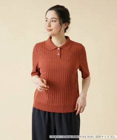 Leilian PLUS HOUSE / レリアンプラスハウス ポロシャツ | ワイドリブニットポロシャツ