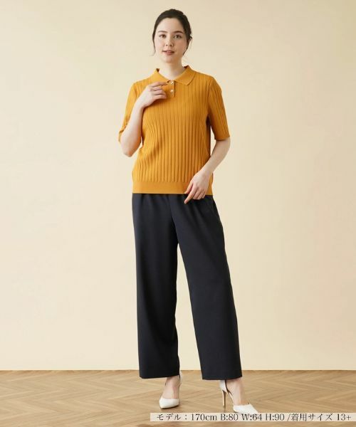 Leilian PLUS HOUSE / レリアンプラスハウス ポロシャツ | ワイドリブニットポロシャツ | 詳細1