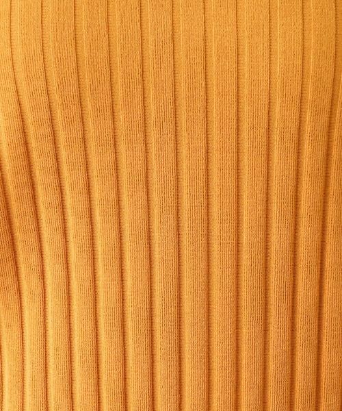 Leilian PLUS HOUSE / レリアンプラスハウス ポロシャツ | ワイドリブニットポロシャツ | 詳細10