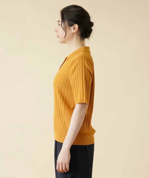Leilian PLUS HOUSE / レリアンプラスハウス ポロシャツ | ワイドリブニットポロシャツ | 詳細5