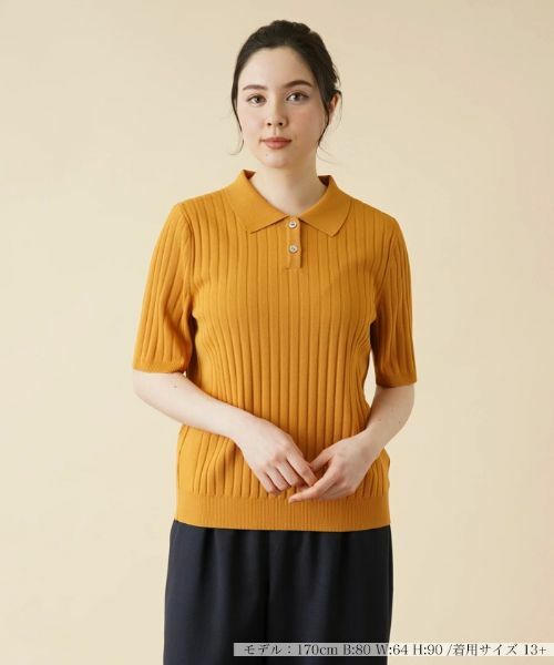 Leilian PLUS HOUSE/レリアンプラスハウス ワイドリブニットポロシャツ マスタード系 17+ Leilian PLUS HOUSE/レリアンプラスハウス ワイドリブニットポロシャツ マスタード系 17+