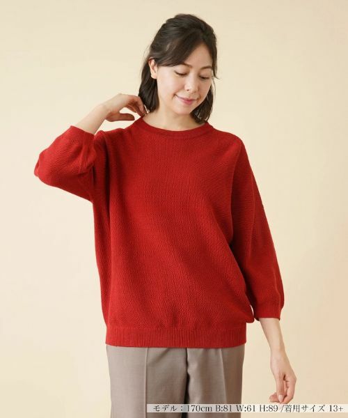 Leilian PLUS HOUSE / レリアンプラスハウス ニット・セーター | ボトルネックニットプルオーバー【Leilian the Week】 | 詳細17