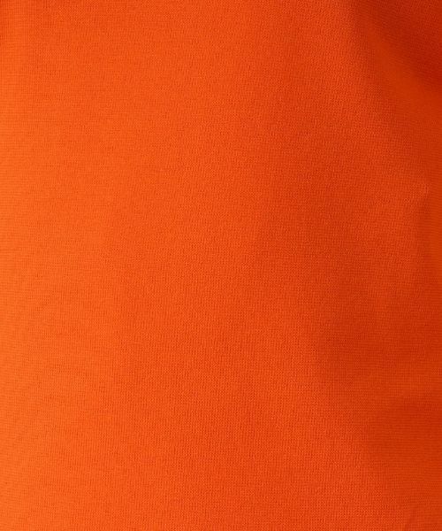 Leilian PLUS HOUSE / レリアンプラスハウス ニット・セーター | クルーネック半袖ニット | 詳細11