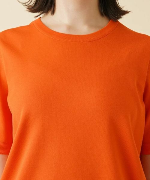 Leilian PLUS HOUSE / レリアンプラスハウス ニット・セーター | クルーネック半袖ニット | 詳細16