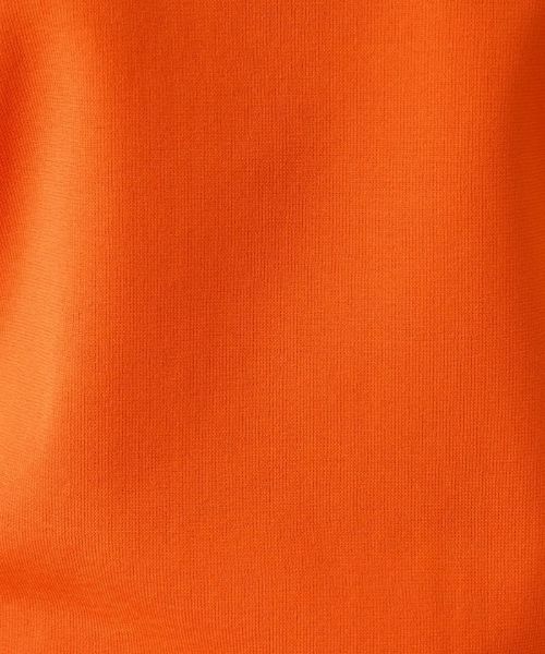 Leilian PLUS HOUSE / レリアンプラスハウス ニット・セーター | クルーネック半袖ニット | 詳細20