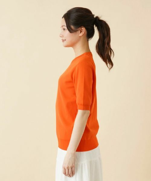 Leilian PLUS HOUSE / レリアンプラスハウス ニット・セーター | クルーネック半袖ニット | 詳細5