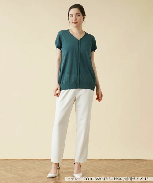 Leilian PLUS HOUSE / レリアンプラスハウス ニット・セーター | シアーニットプルオーバー | 詳細1