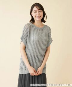 Leilian PLUS HOUSE / レリアンプラスハウス ニット・セーター | 透かし編みフレンチスリーブニット
