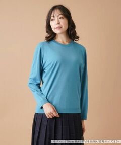 Leilian PLUS HOUSE / レリアンプラスハウス ニット・セーター | 【店舗人気】クルーネックニット【GEMMA】