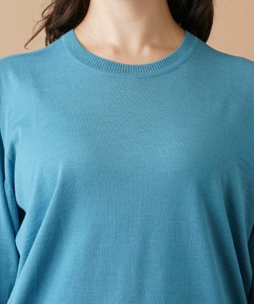 Leilian PLUS HOUSE / レリアンプラスハウス ニット・セーター | 【店舗人気】クルーネックニット【GEMMA】 | 詳細16