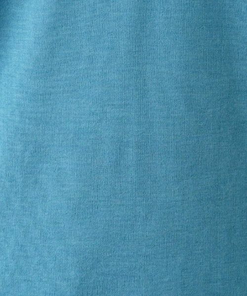 Leilian PLUS HOUSE / レリアンプラスハウス ニット・セーター | 【店舗人気】クルーネックニット【GEMMA】 | 詳細19