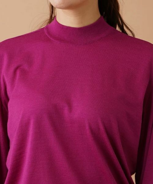 Leilian PLUS HOUSE / レリアンプラスハウス ニット・セーター | ハイネックニット【GEMMA】 | 詳細13