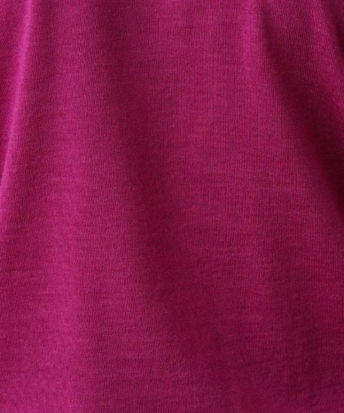 Leilian PLUS HOUSE / レリアンプラスハウス ニット・セーター | ハイネックニット【GEMMA】 | 詳細17