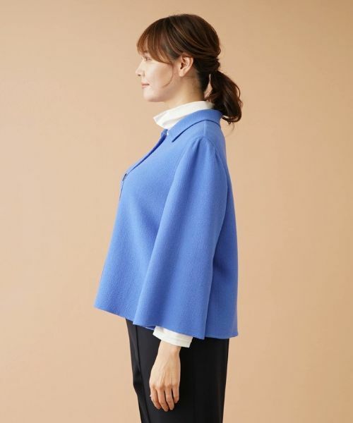 Leilian PLUS HOUSE / レリアンプラスハウス テーラードジャケット | ステンカラージャケット【MANIGLIA】 | 詳細8