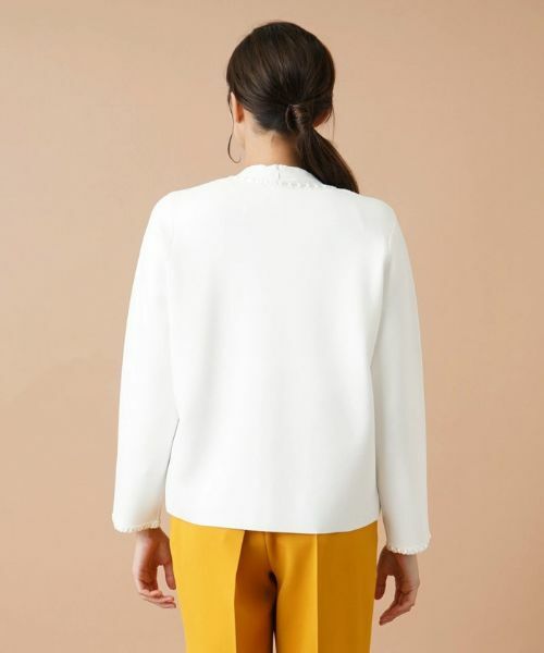 Leilian PLUS HOUSE / レリアンプラスハウス テーラードジャケット | トリムノーカラージャケット | 詳細6