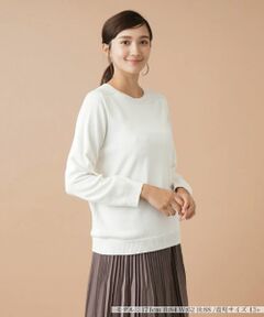 Leilian PLUS HOUSE / レリアンプラスハウス ニット・セーター | ホールガーメントプルオーバー