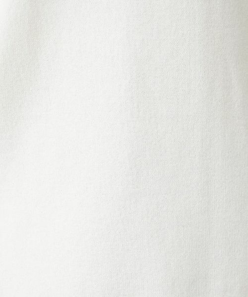 Leilian PLUS HOUSE / レリアンプラスハウス ニット・セーター | ホールガーメントプルオーバー | 詳細10