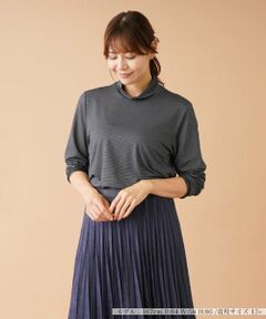 Leilian PLUS HOUSE / レリアンプラスハウス カットソー | ナローボーダーハイネックカットソー