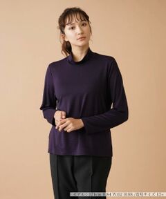 Leilian PLUS HOUSE / レリアンプラスハウス カットソー | ナローボーダーハイネックカットソー