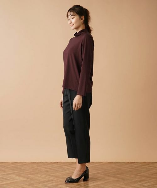 Leilian PLUS HOUSE / レリアンプラスハウス カットソー | ナローボーダーハイネックカットソー | 詳細2