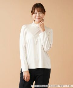 Leilian PLUS HOUSE / レリアンプラスハウス カットソー | 【店舗人気】ハイネックカットソー