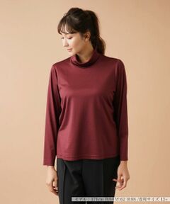 Leilian PLUS HOUSE / レリアンプラスハウス カットソー | 【店舗人気】ハイネックカットソー