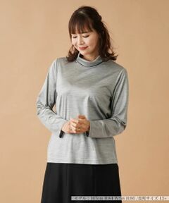 Leilian PLUS HOUSE / レリアンプラスハウス カットソー | ストレッチシルクハイネックカットソー