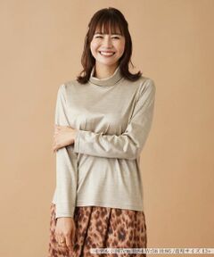 Leilian PLUS HOUSE / レリアンプラスハウス カットソー | ストレッチシルクハイネックカットソー