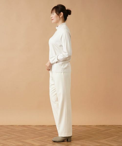 Leilian PLUS HOUSE / レリアンプラスハウス カットソー | ストレッチシルクハイネックカットソー | 詳細24