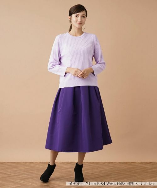 Leilian PLUS HOUSE / レリアンプラスハウス ニット・セーター | リブクルーネックプルオーバー | 詳細1