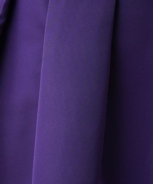 Leilian PLUS HOUSE / レリアンプラスハウス ミニ・ひざ丈スカート | タックスカート | 詳細10