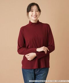 Leilian PLUS HOUSE / レリアンプラスハウス カットソー | ハイネックカットソー